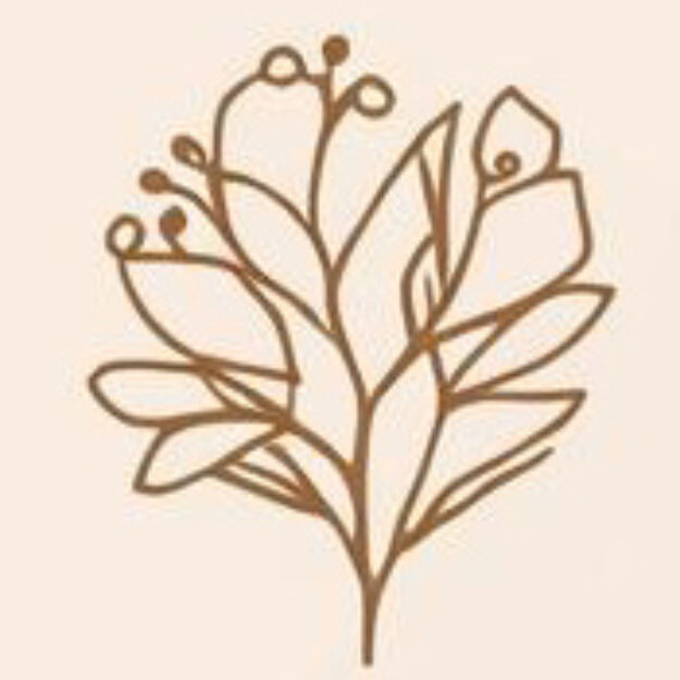 Beauty Elagirg Science